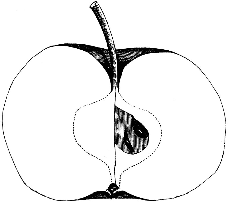 Figure 121.