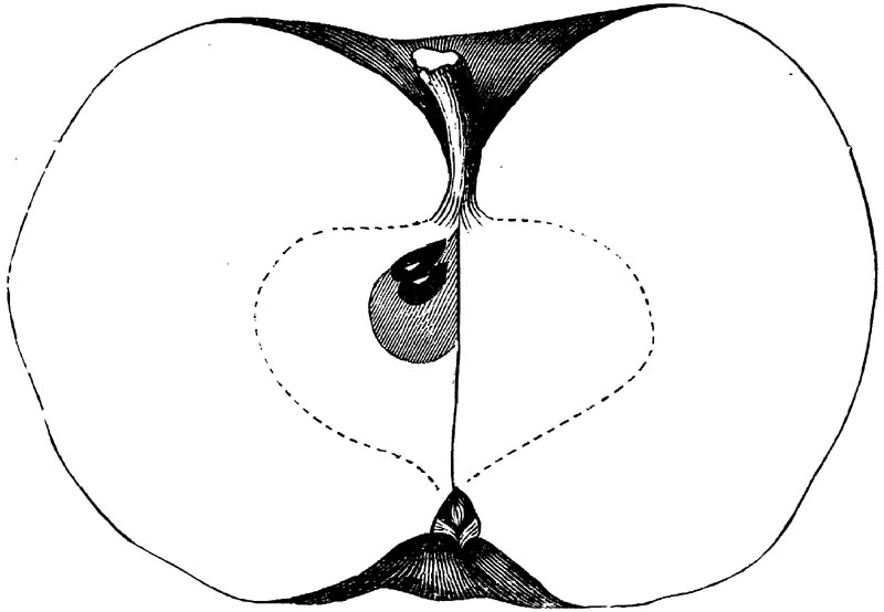 Figure 122.