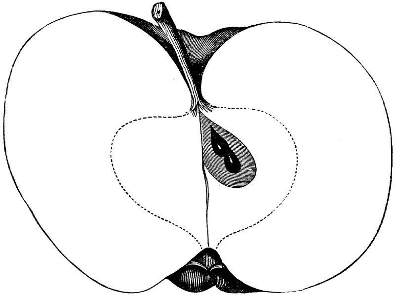 Figure 123.