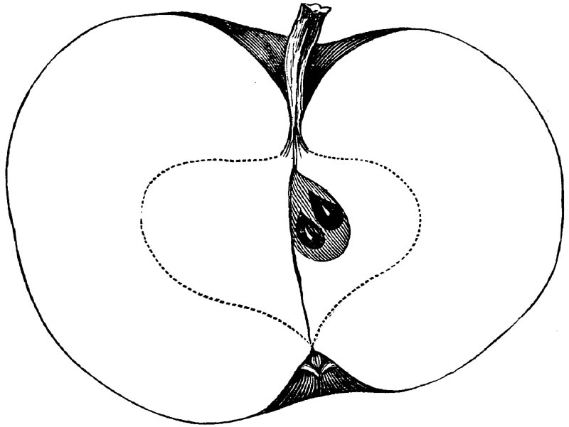 Figure 125.