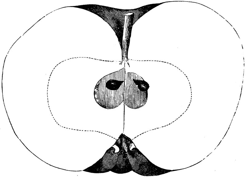 Figure 127.