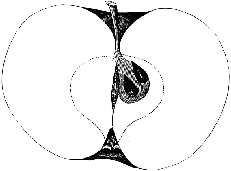 Figure 128.