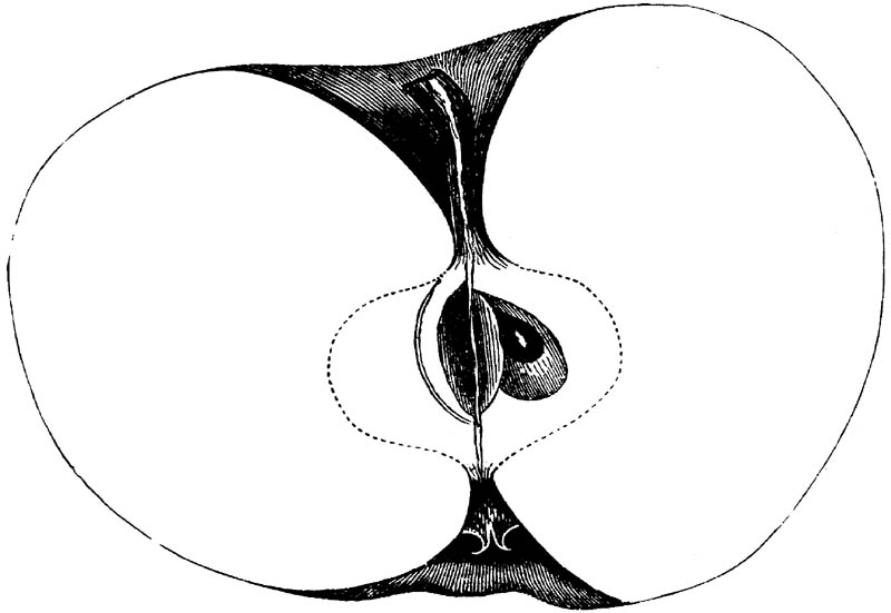 Figure 129.