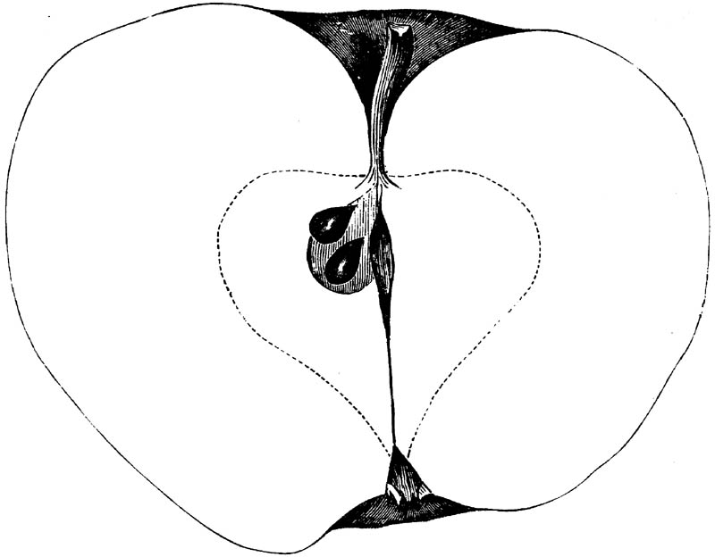 Figure 130.