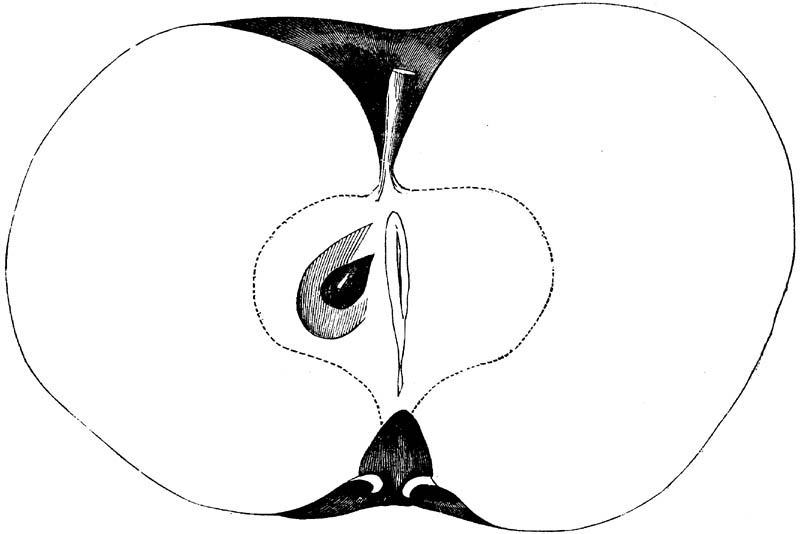 Figure 131.