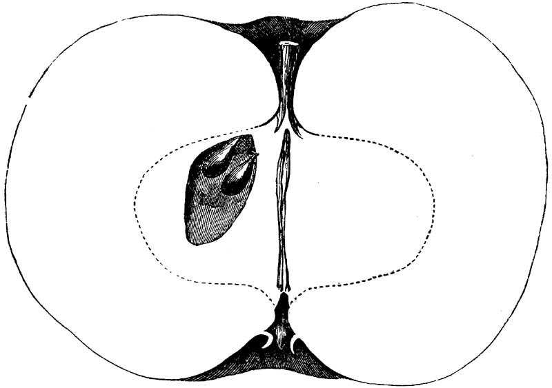 Figure 132.