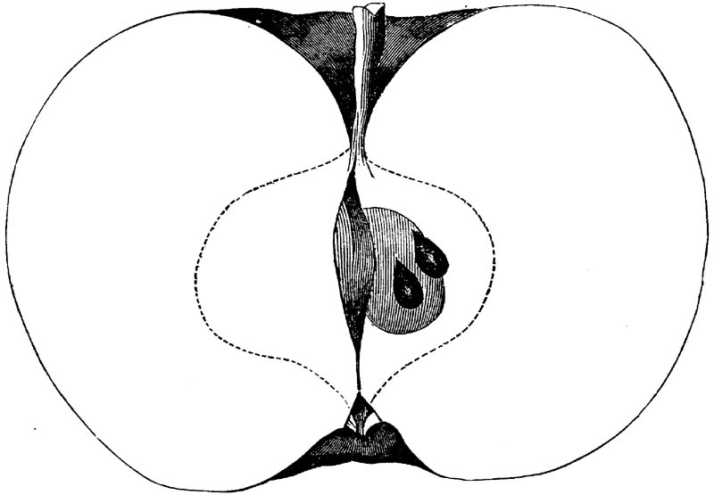 Figure 133.