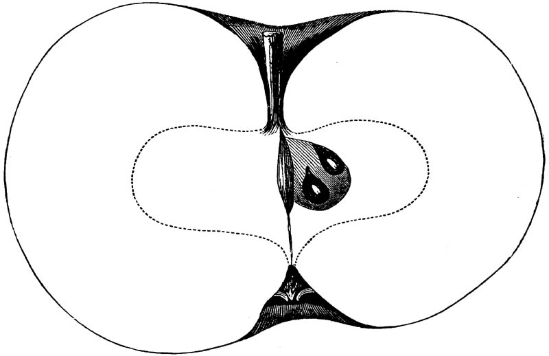 Figure 134.