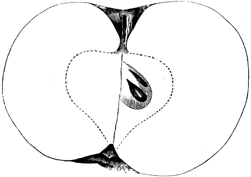 Figure 135.