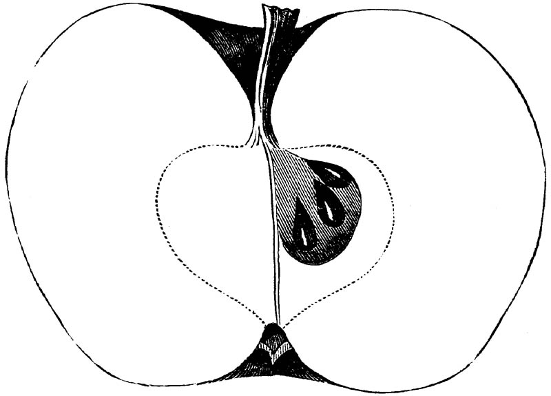 Figure 136.