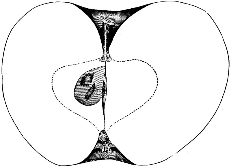 Figure 138.