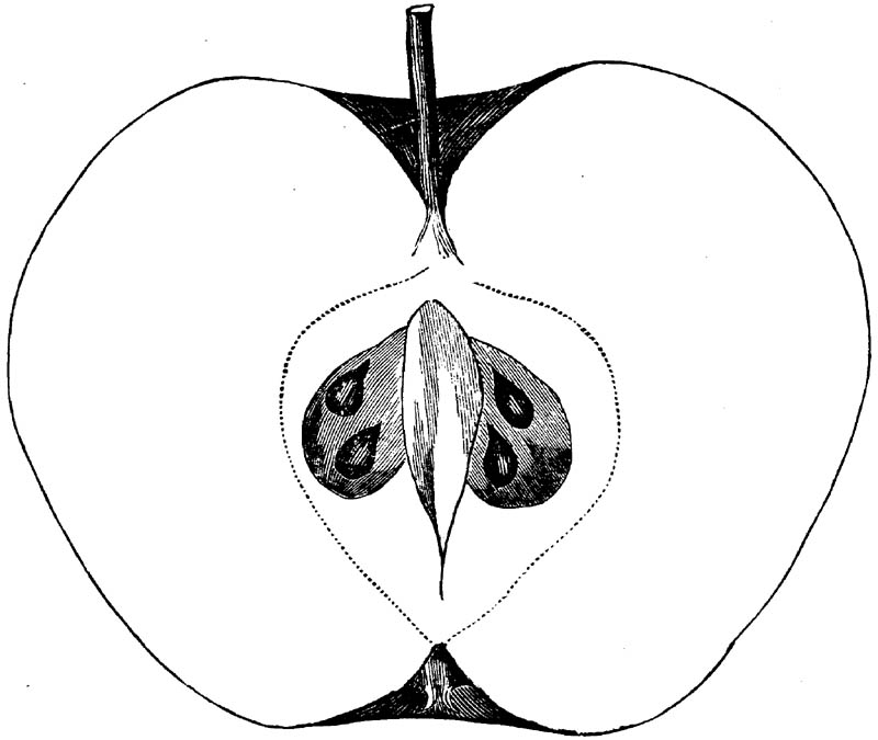 Figure 140.