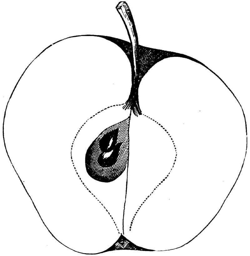 Figure 141.