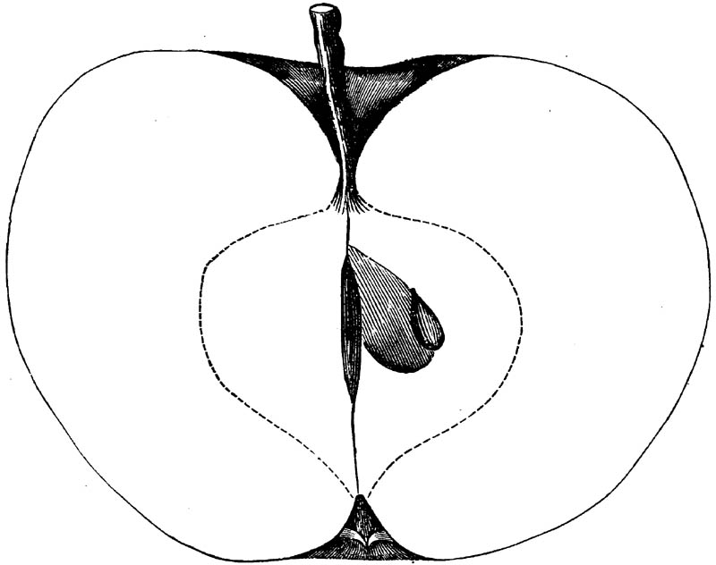 Figure 142.