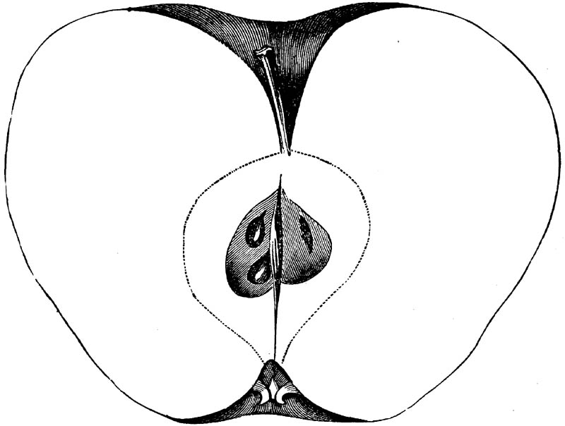 Figure 143.