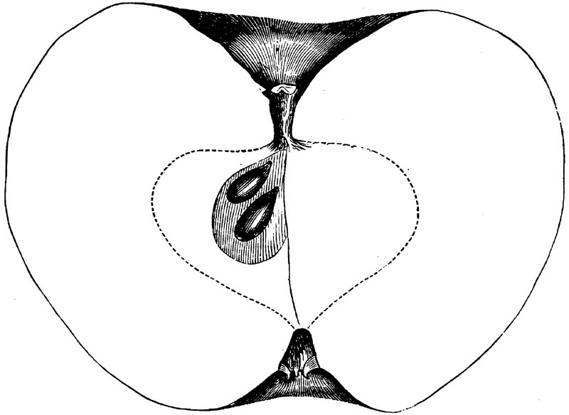 Figure 144.