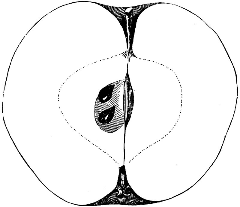 Figure 145.