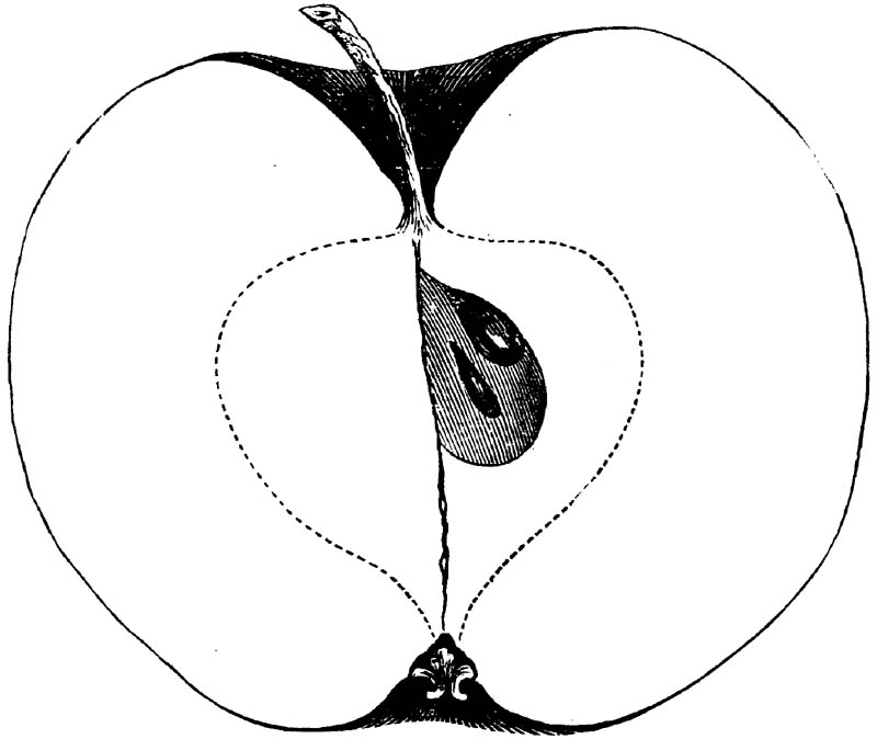 Figure 146.