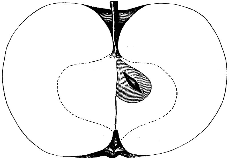 Figure 148.