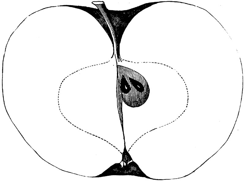 Figure 149.