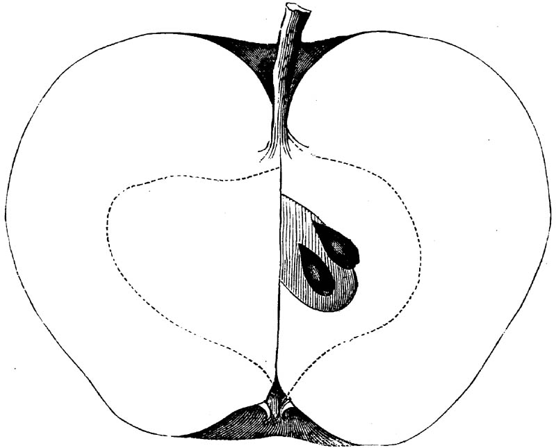 Figure 150.