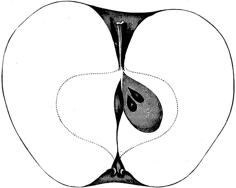 Figure 151.