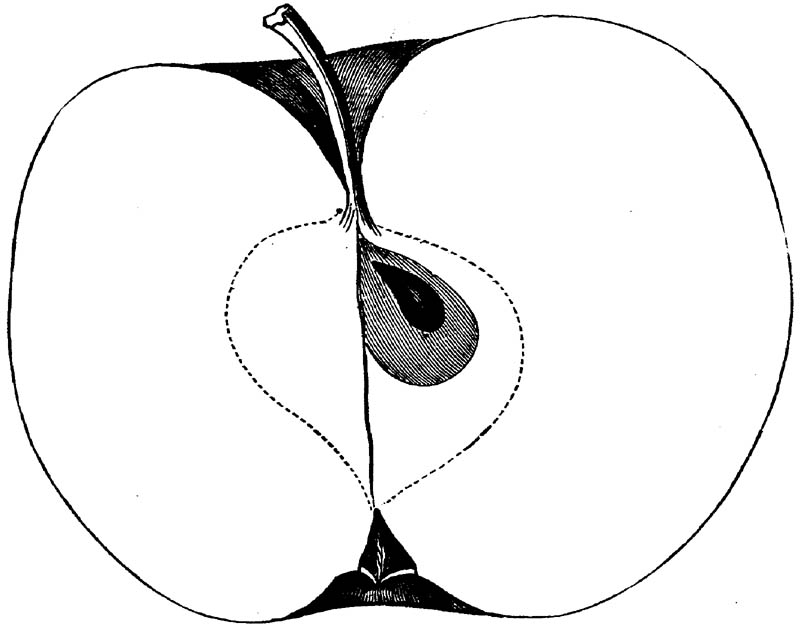 Figure 152.
