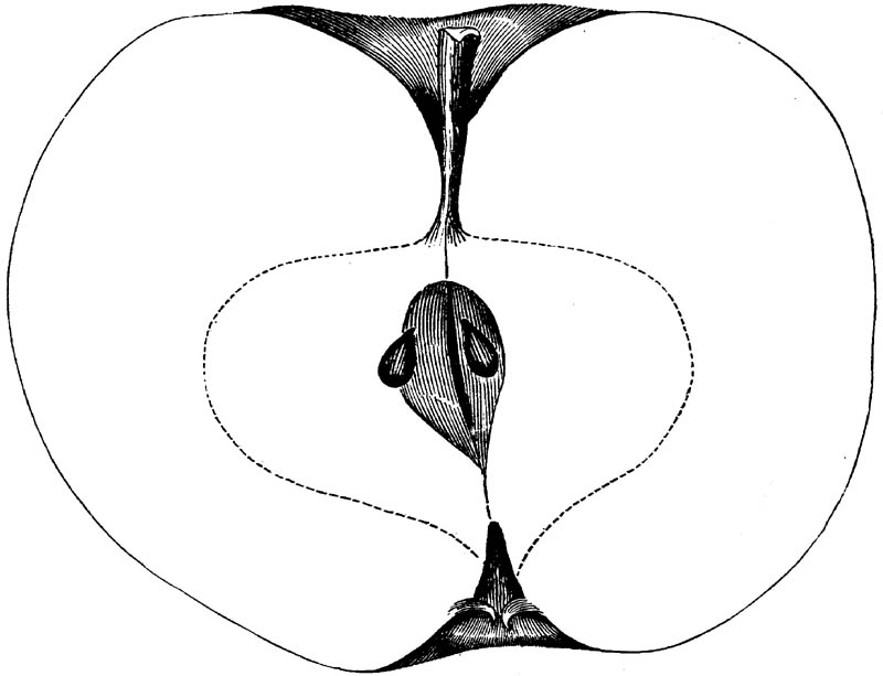 Figure 153.