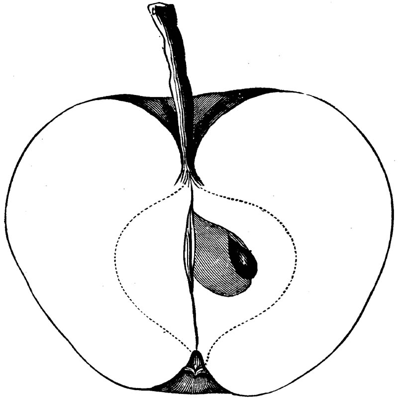 Figure 154.