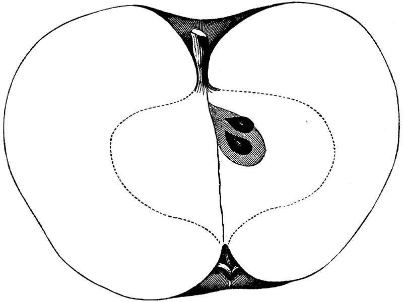 Figure 155.