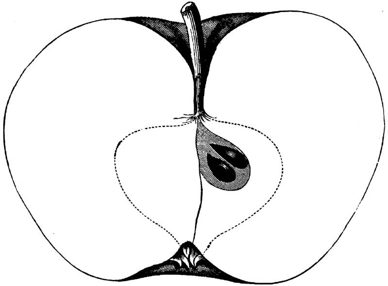 Figure 156.