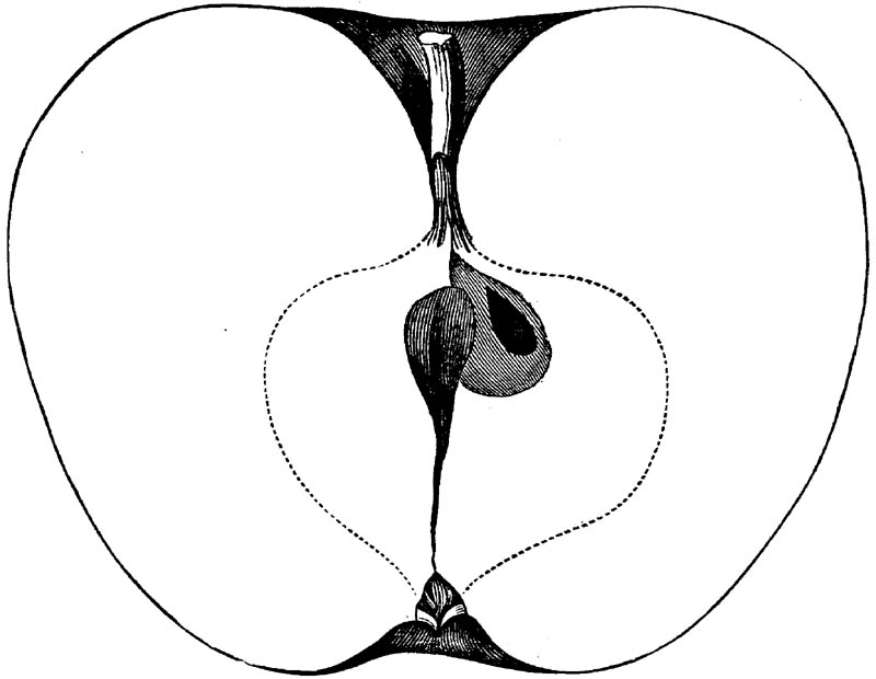 Figure 157.