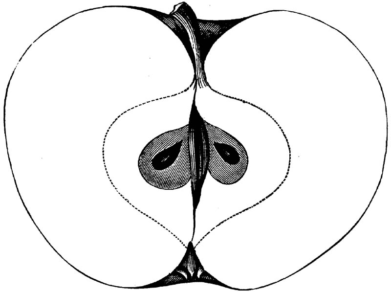 Figure 158.