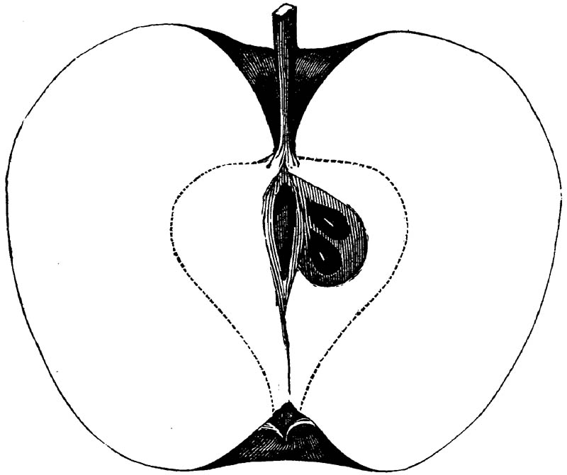 Figure 159.