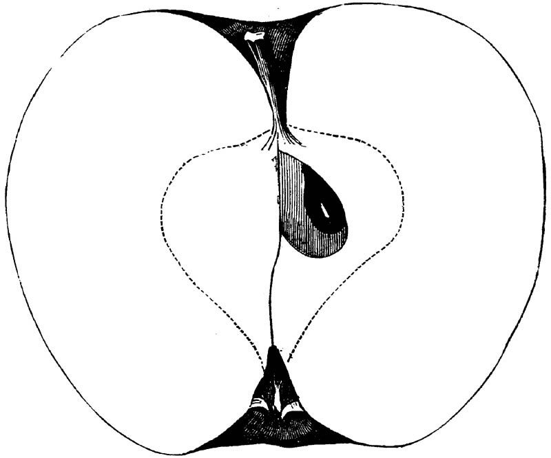 Figure 160.