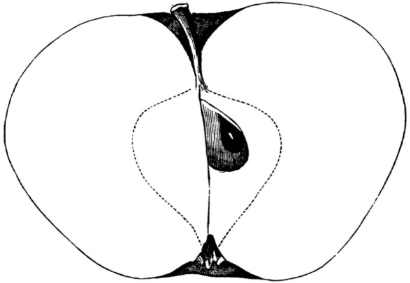 Figure 161.