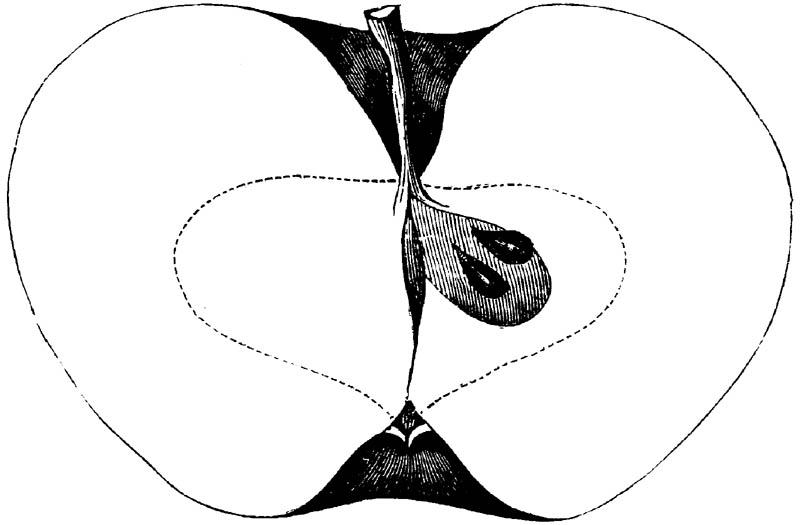 Figure 162.
