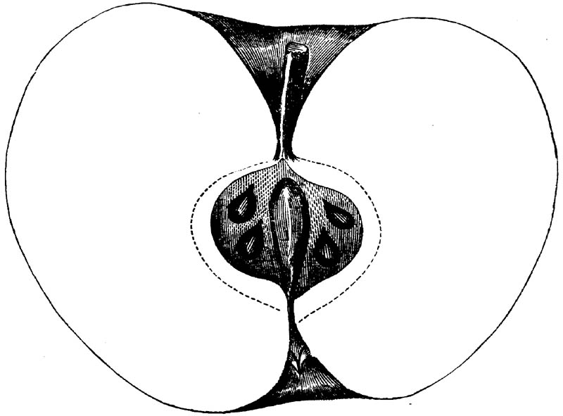 Figure 163.
