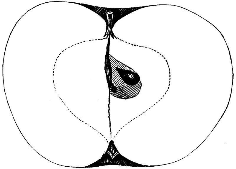 Figure 164.