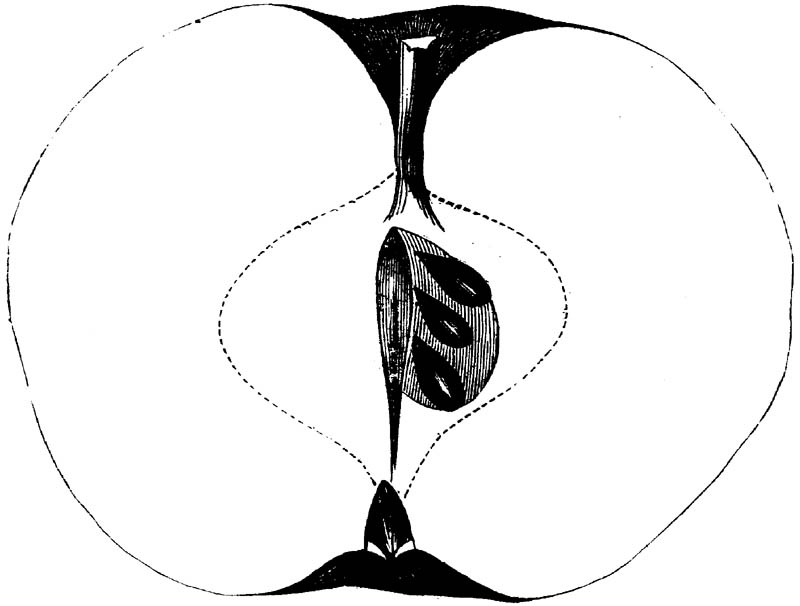Figure 165.