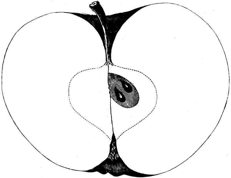Figure 166.