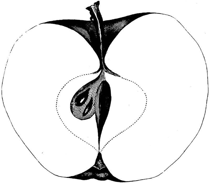 Figure 167.