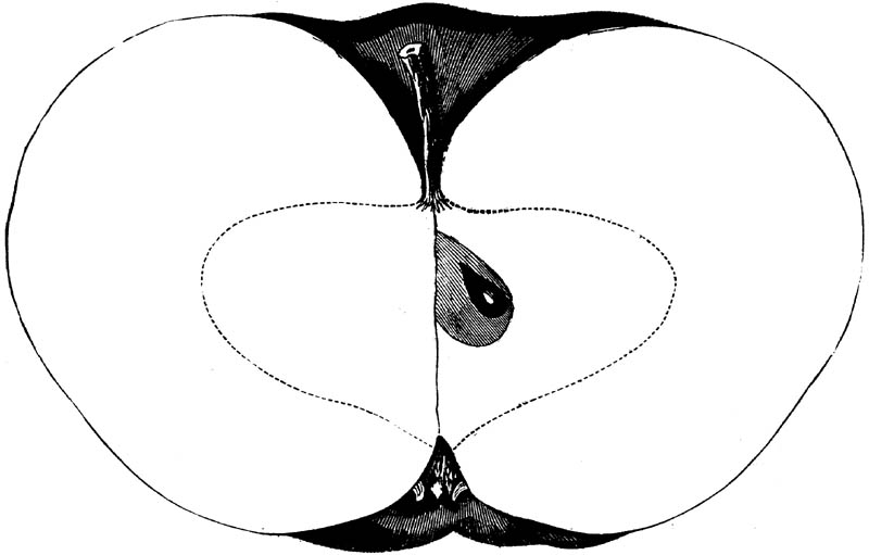 Figure 168.