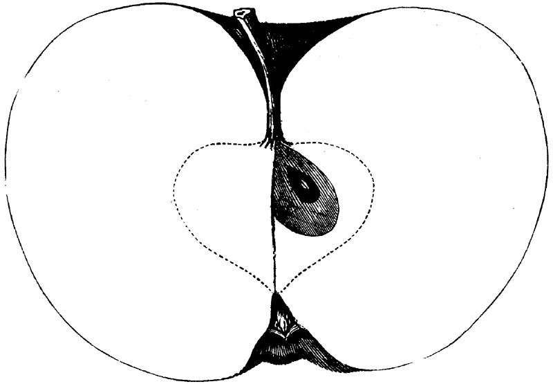Figure 169.