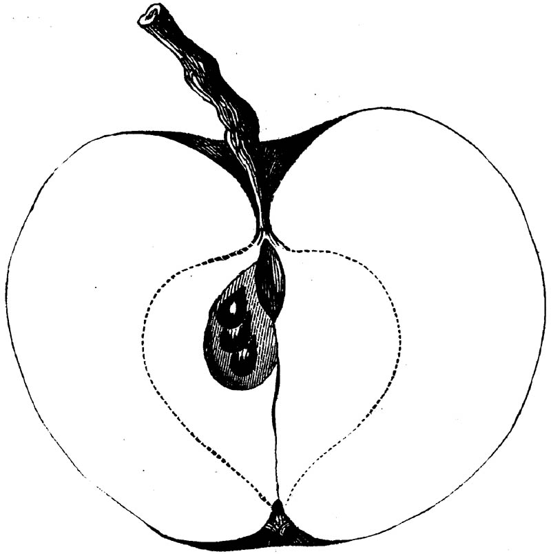 Figure 170.