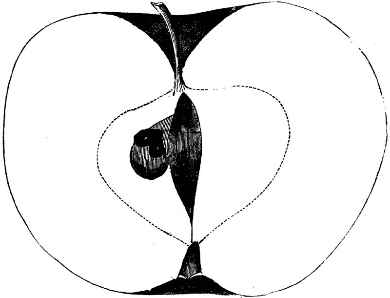 Figure 171.