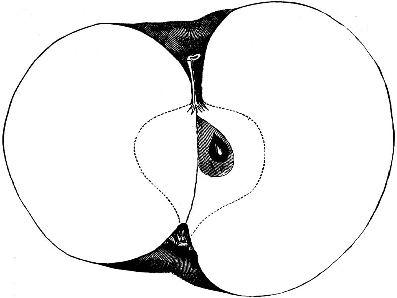 Figure 172.