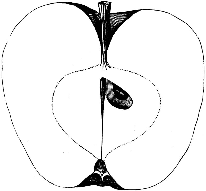 Figure 173.