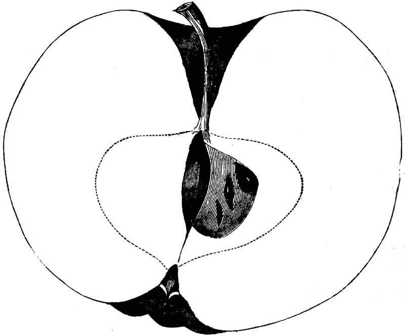 Figure 174.