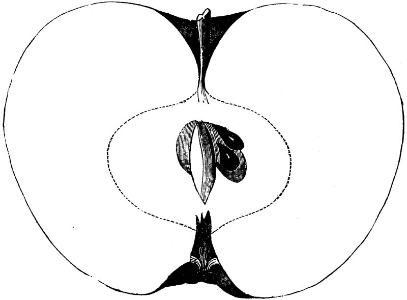 Figure 175.